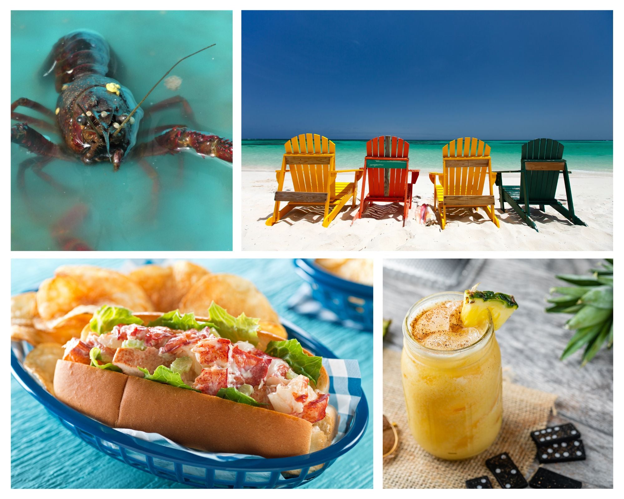 LOBSTER FEST BVI KASS SWIM