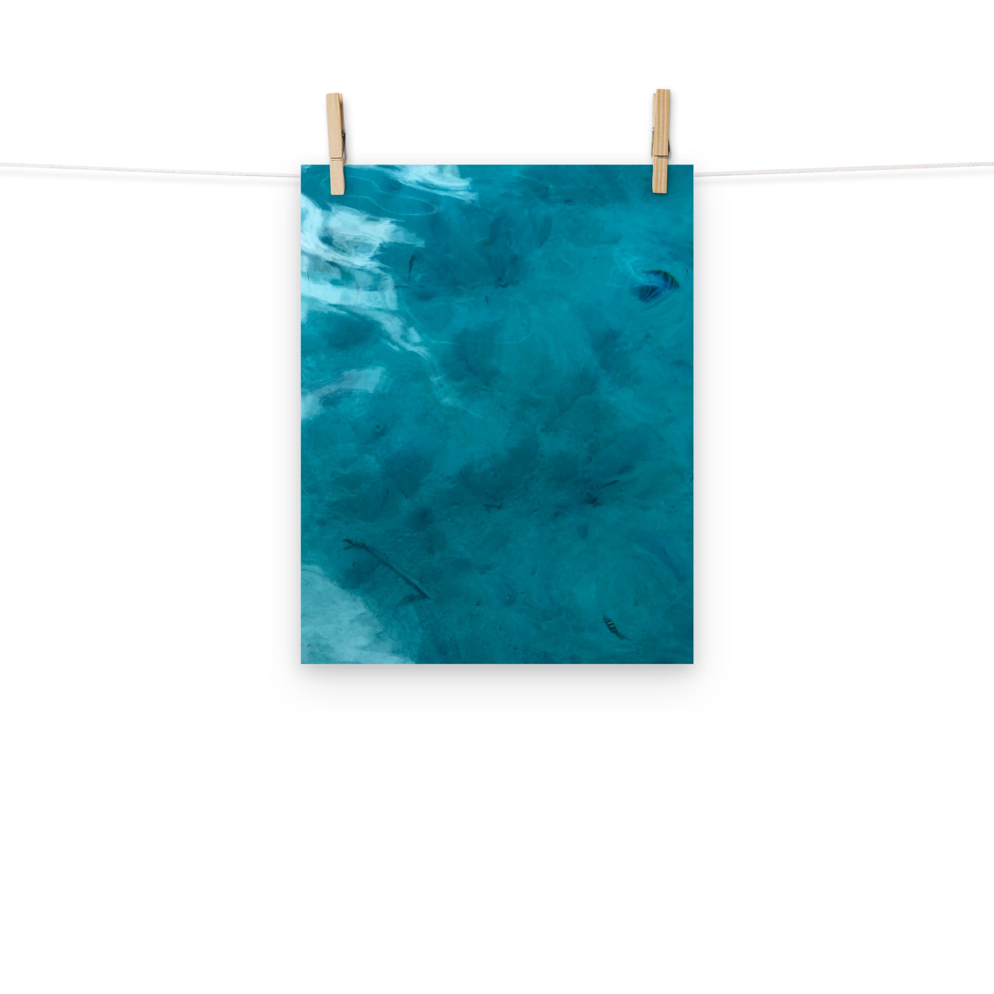 Gallery Prints