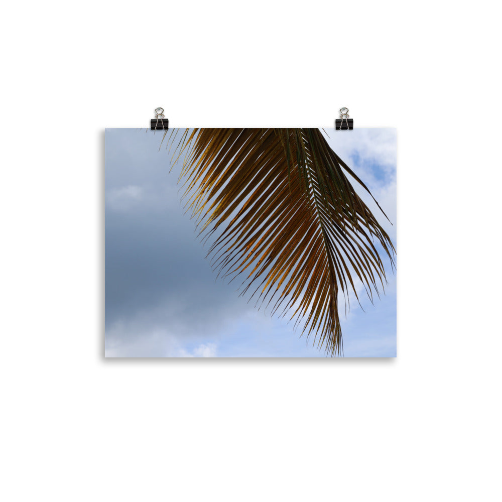 Gallery Prints