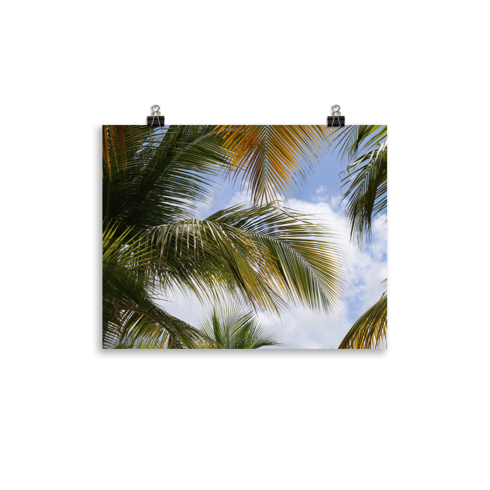 Gallery Prints