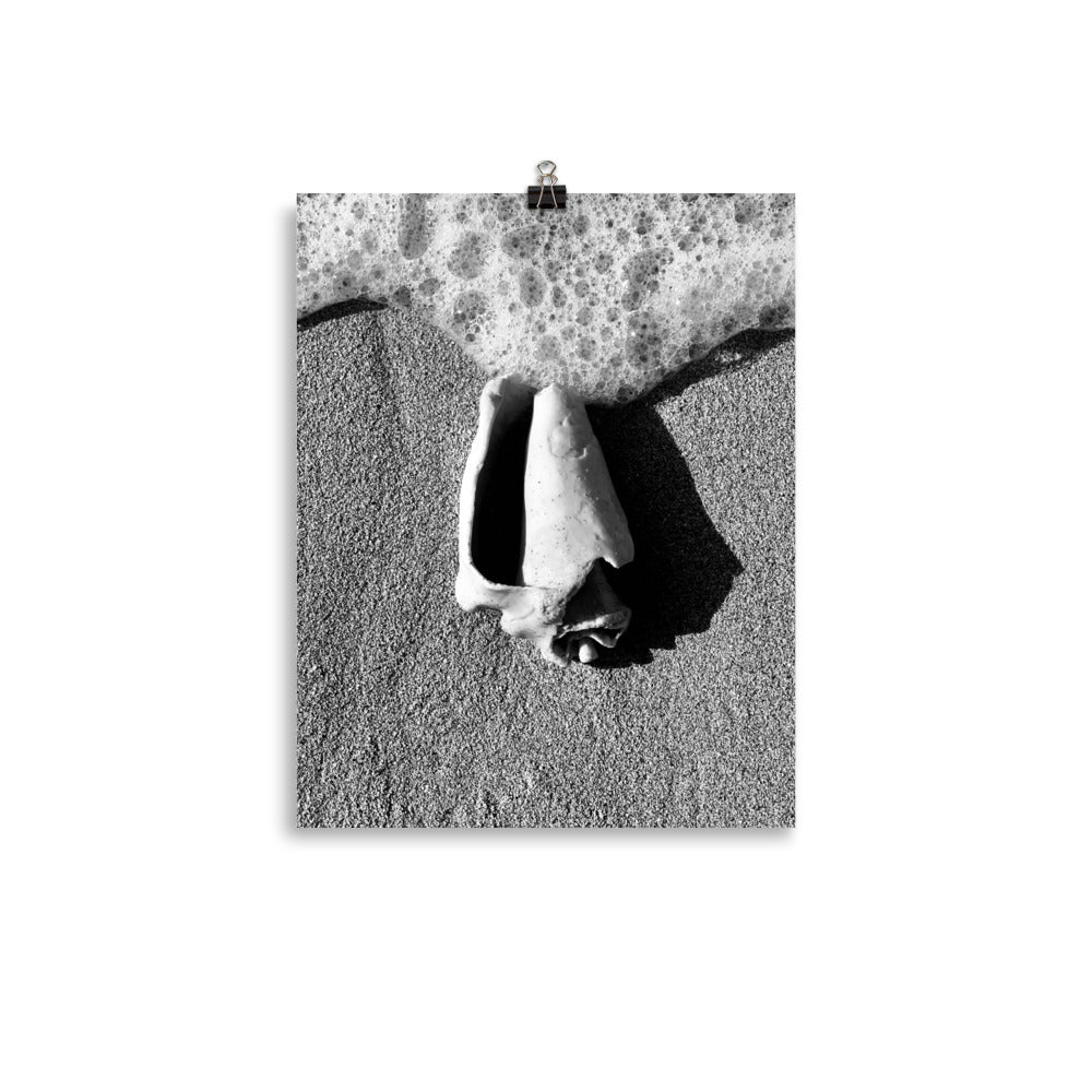 Gallery Prints