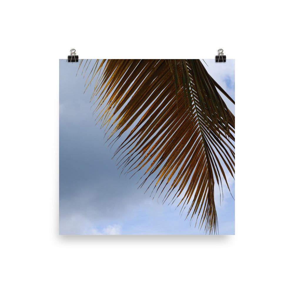 Gallery Prints