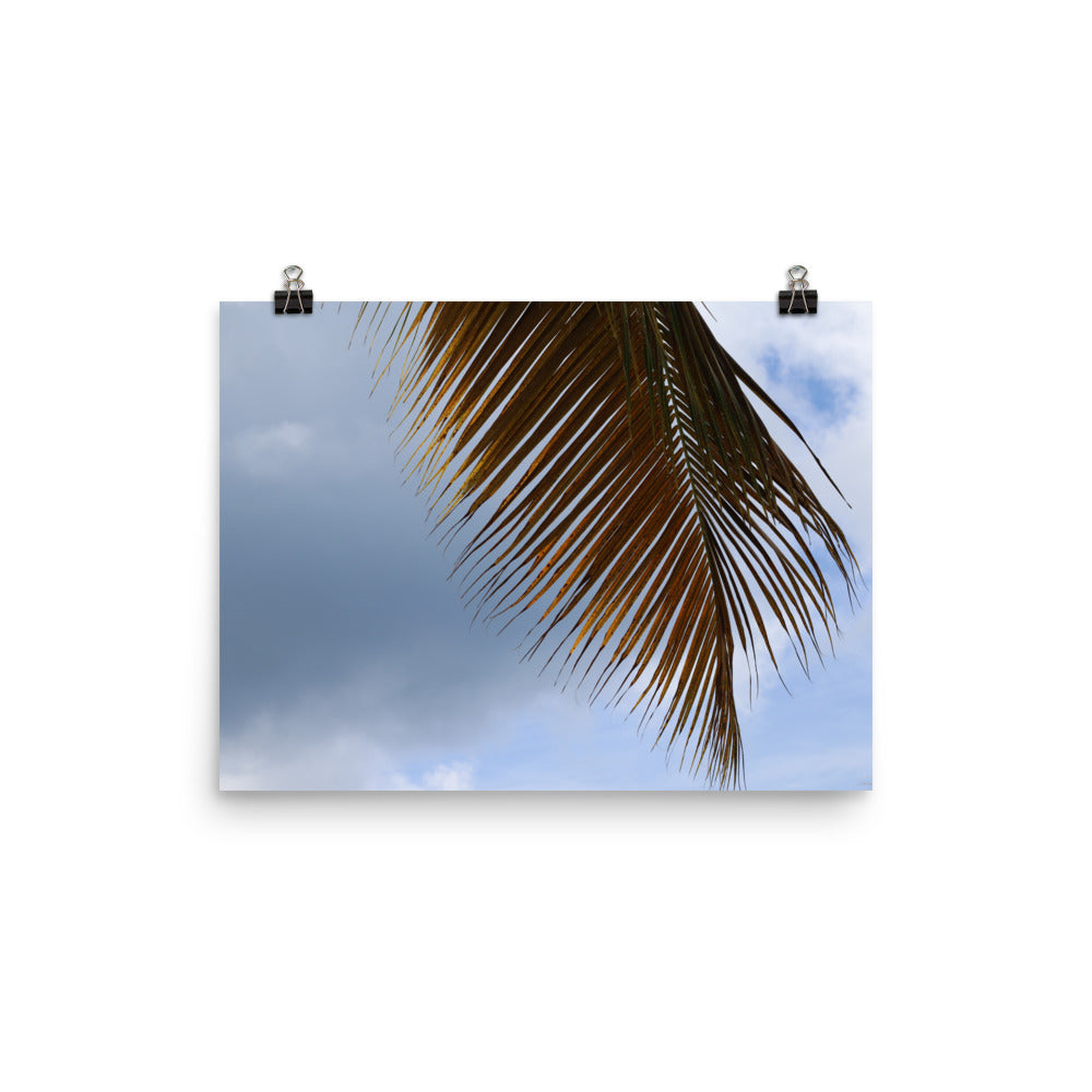 Gallery Prints