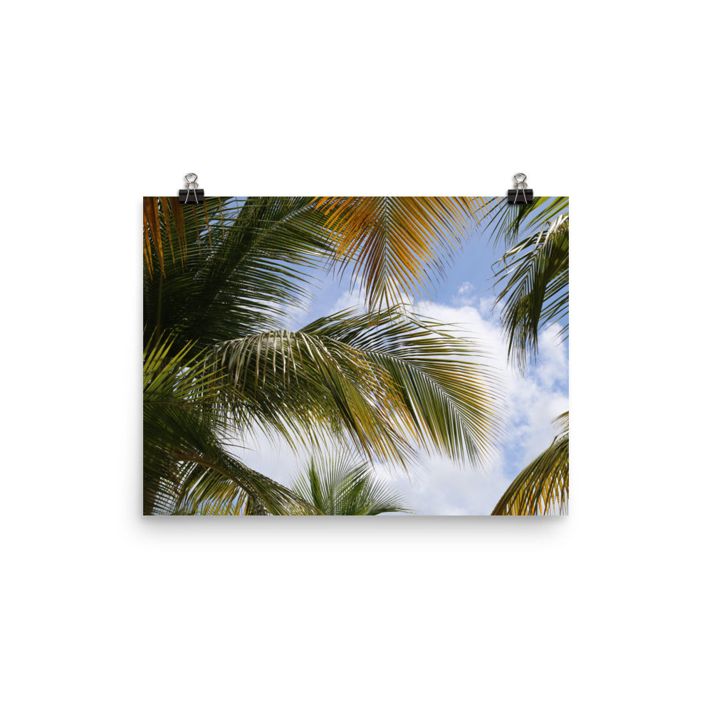 Gallery Prints