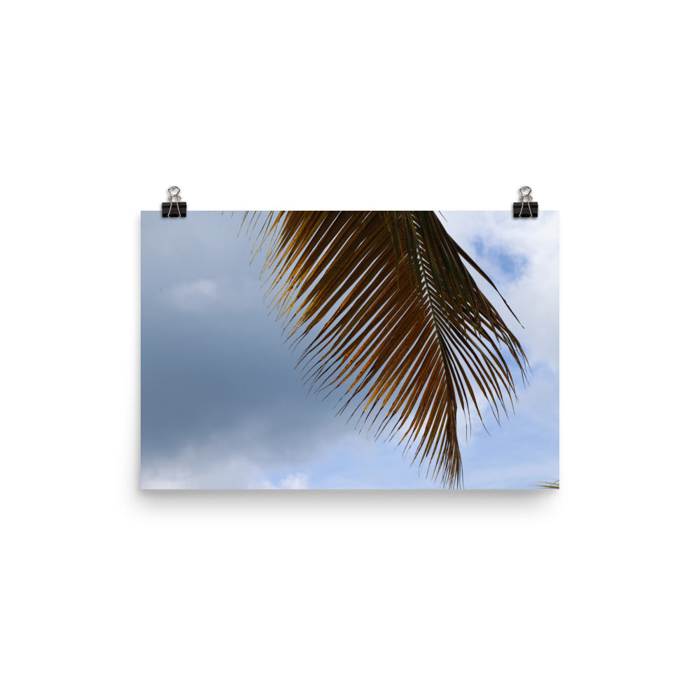 Gallery Prints