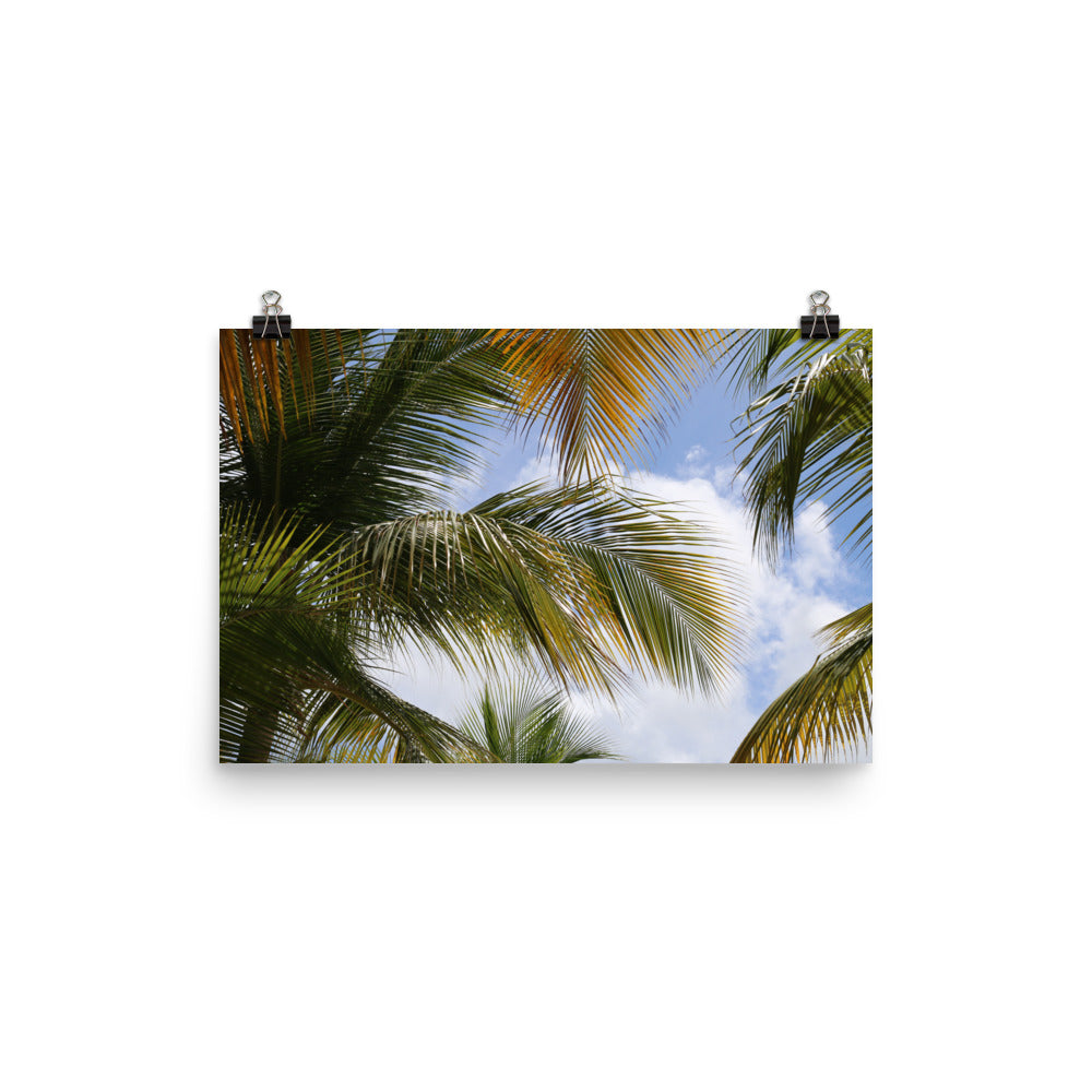 Gallery Prints