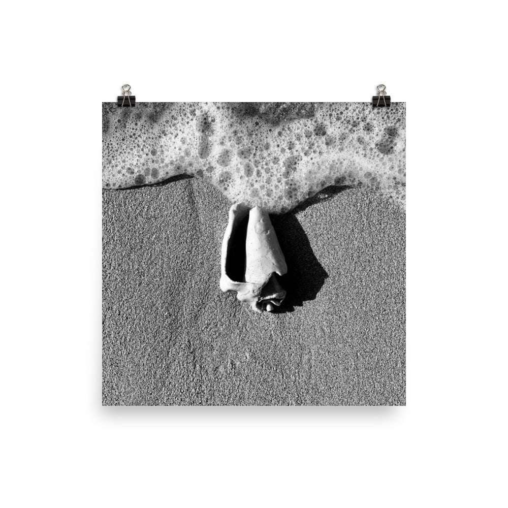 Gallery Prints