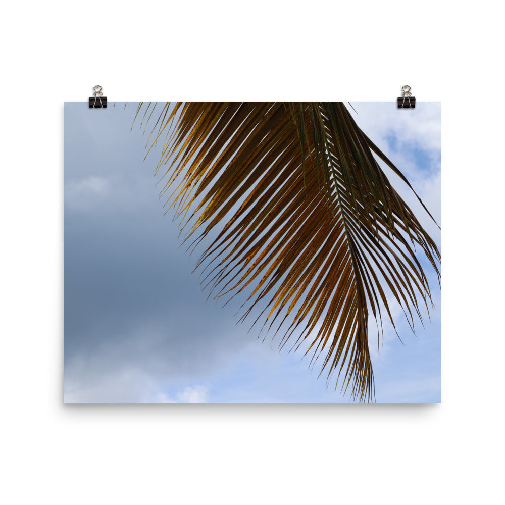 Gallery Prints