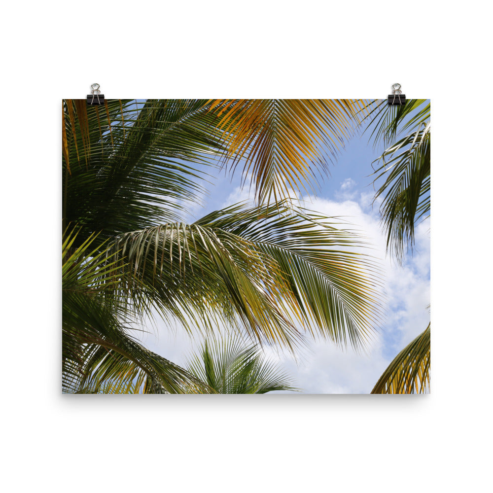 Gallery Prints