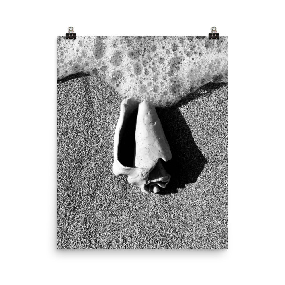 Gallery Prints