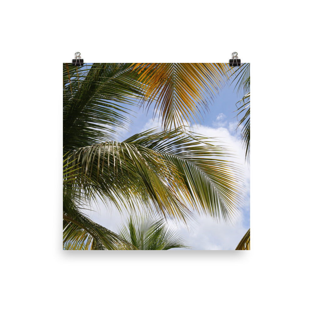 Gallery Prints