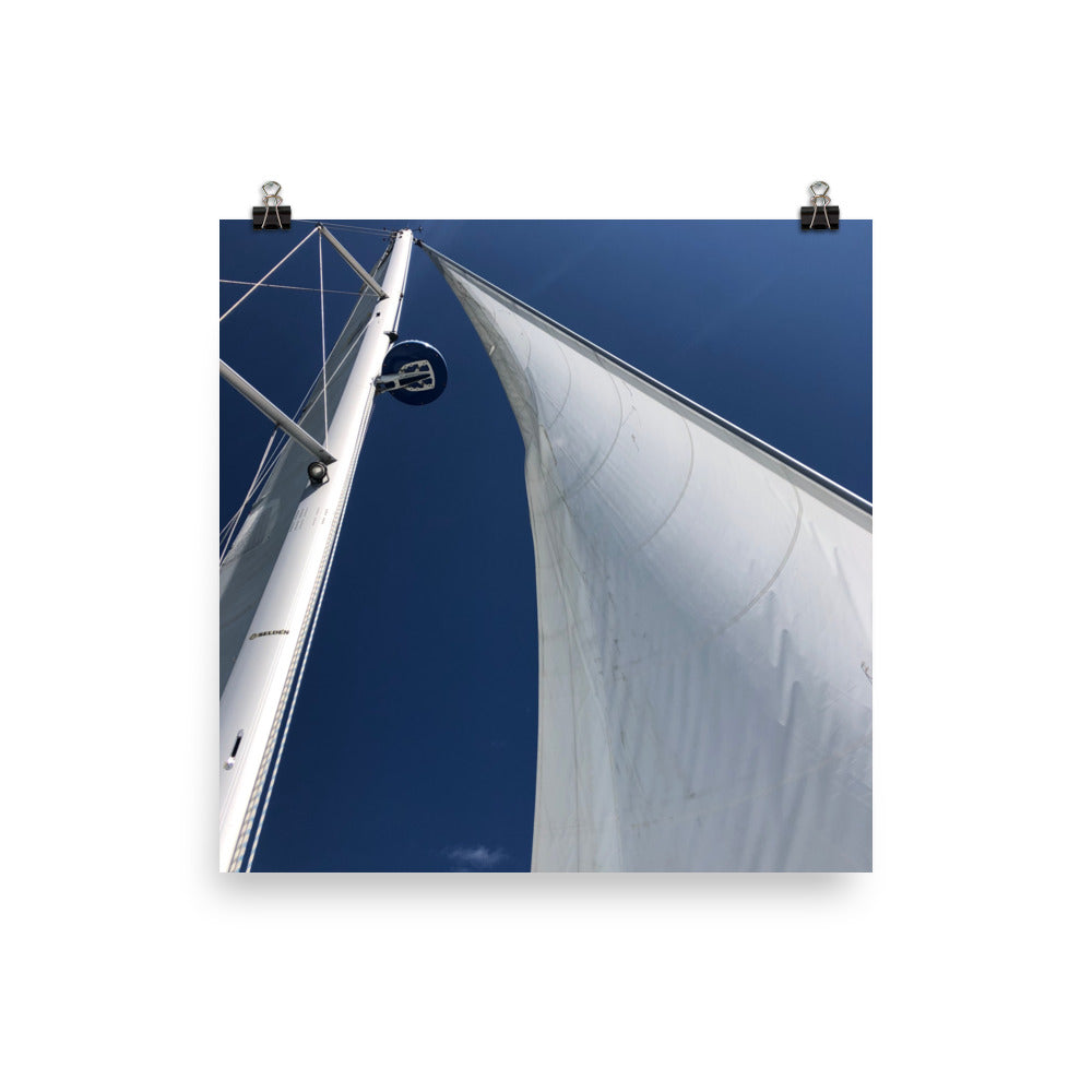 Gallery Prints
