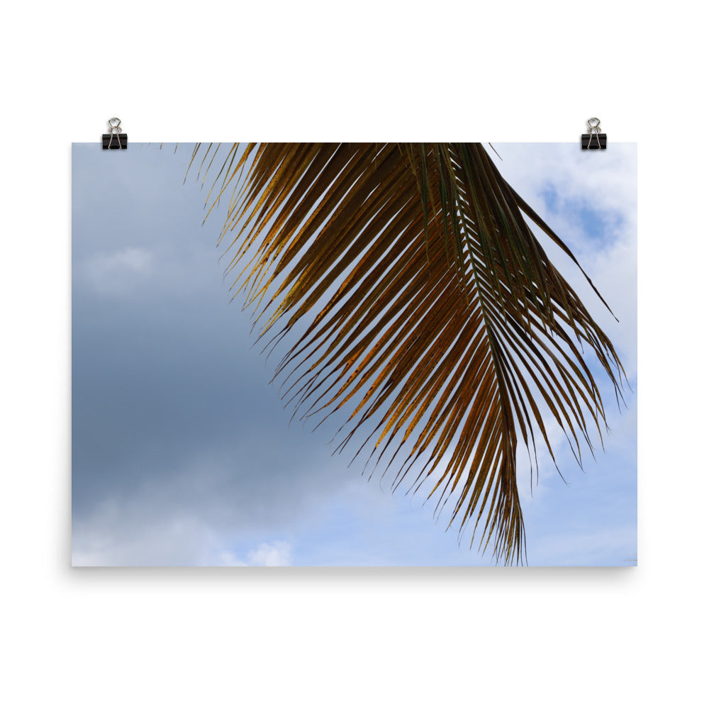 Gallery Prints