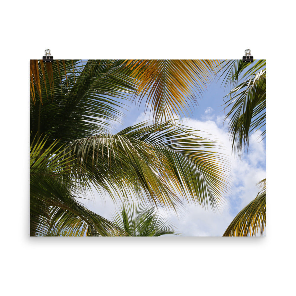 Gallery Prints