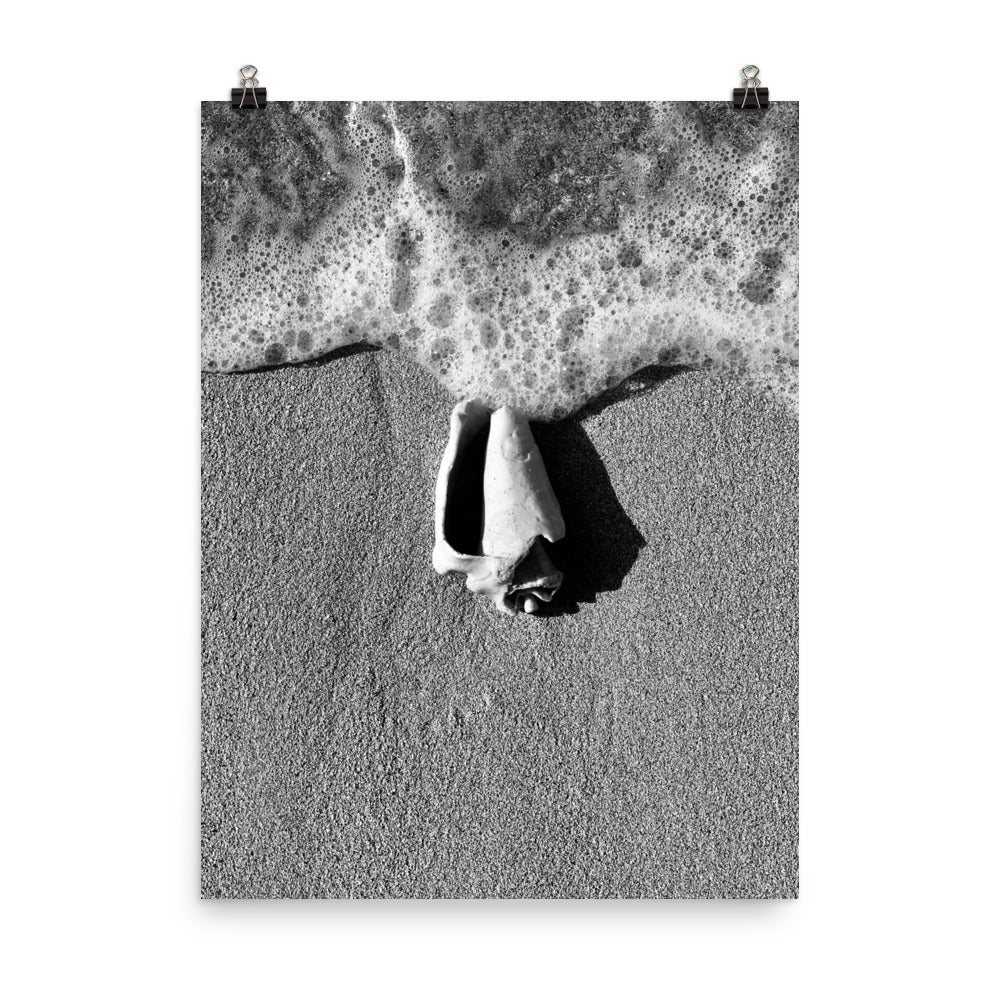 Gallery Prints