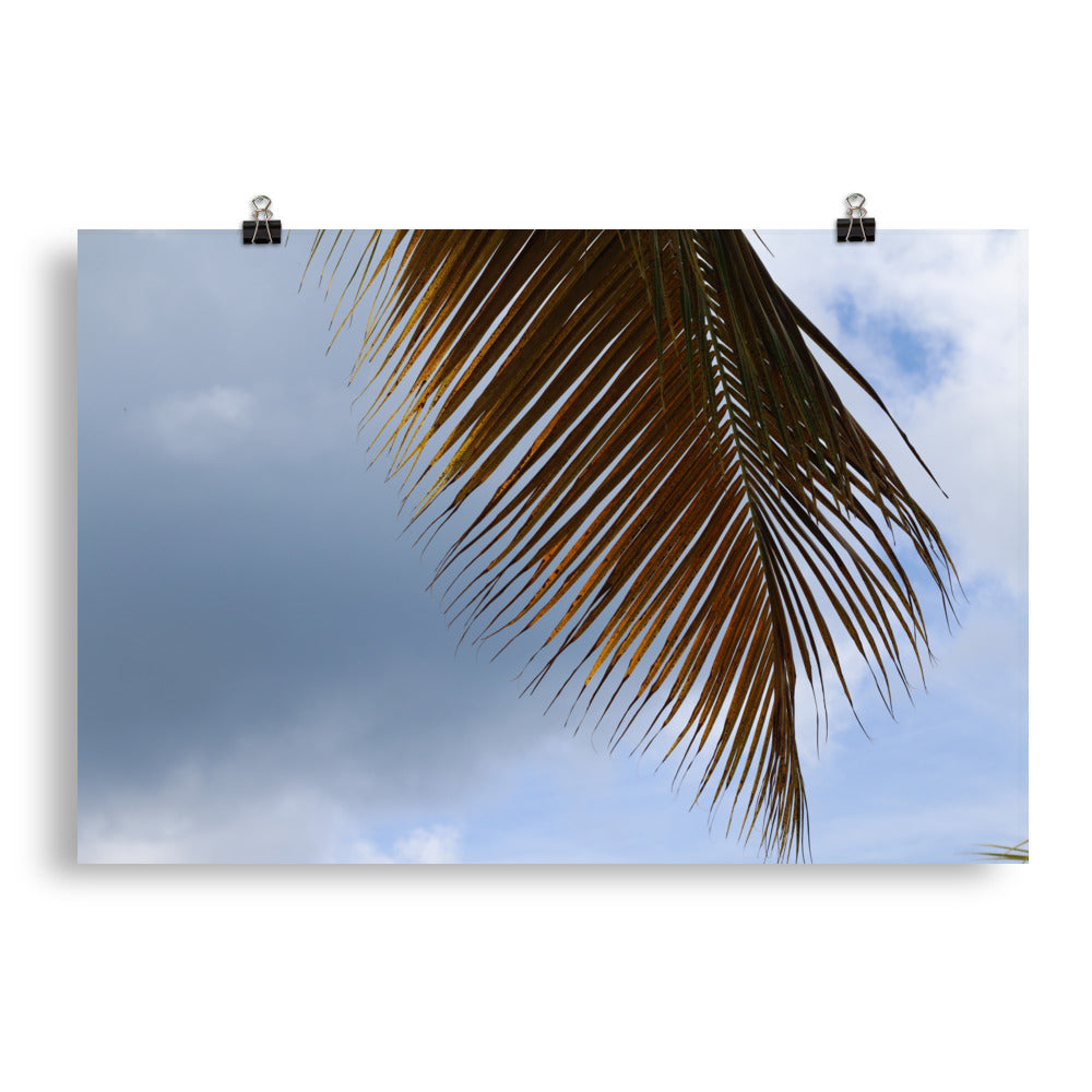 Gallery Prints