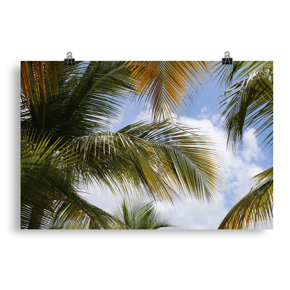 Gallery Prints