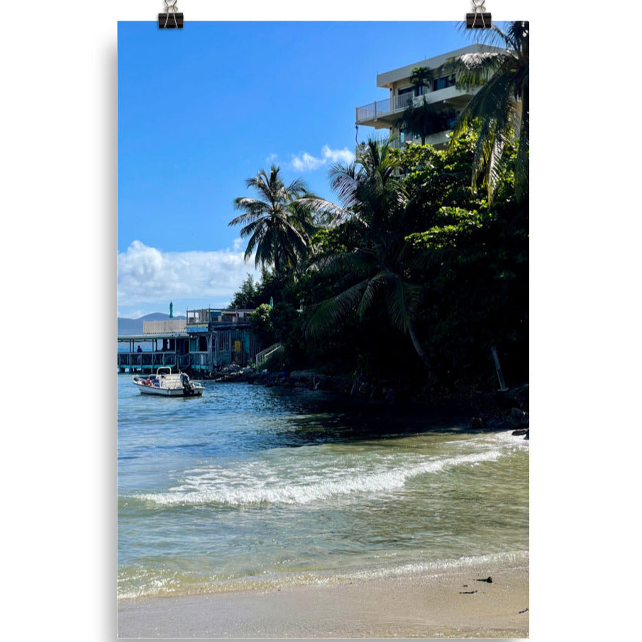 Gallery Prints