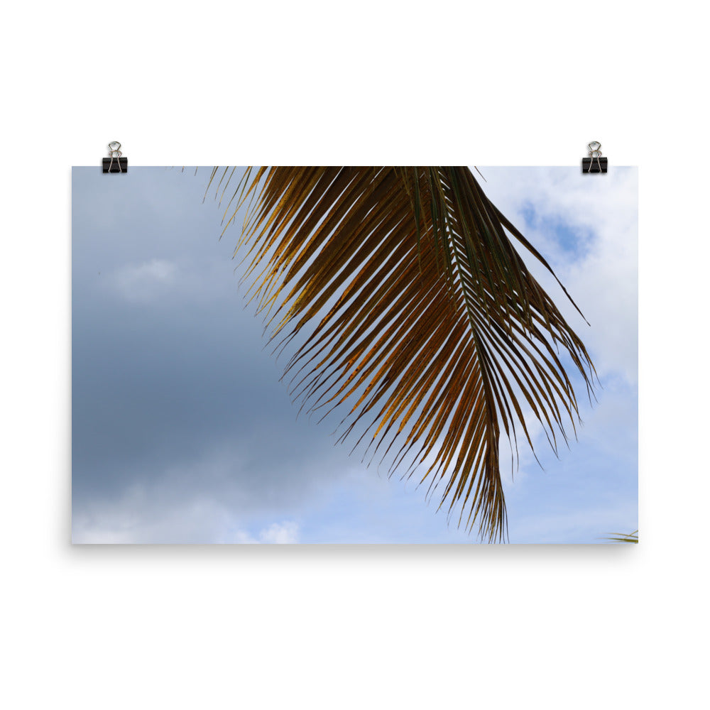 Gallery Prints