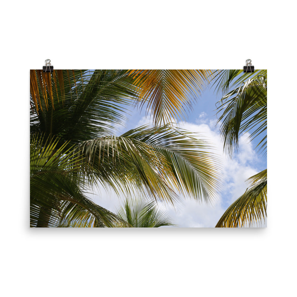 Gallery Prints