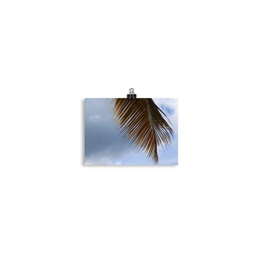 Gallery Prints