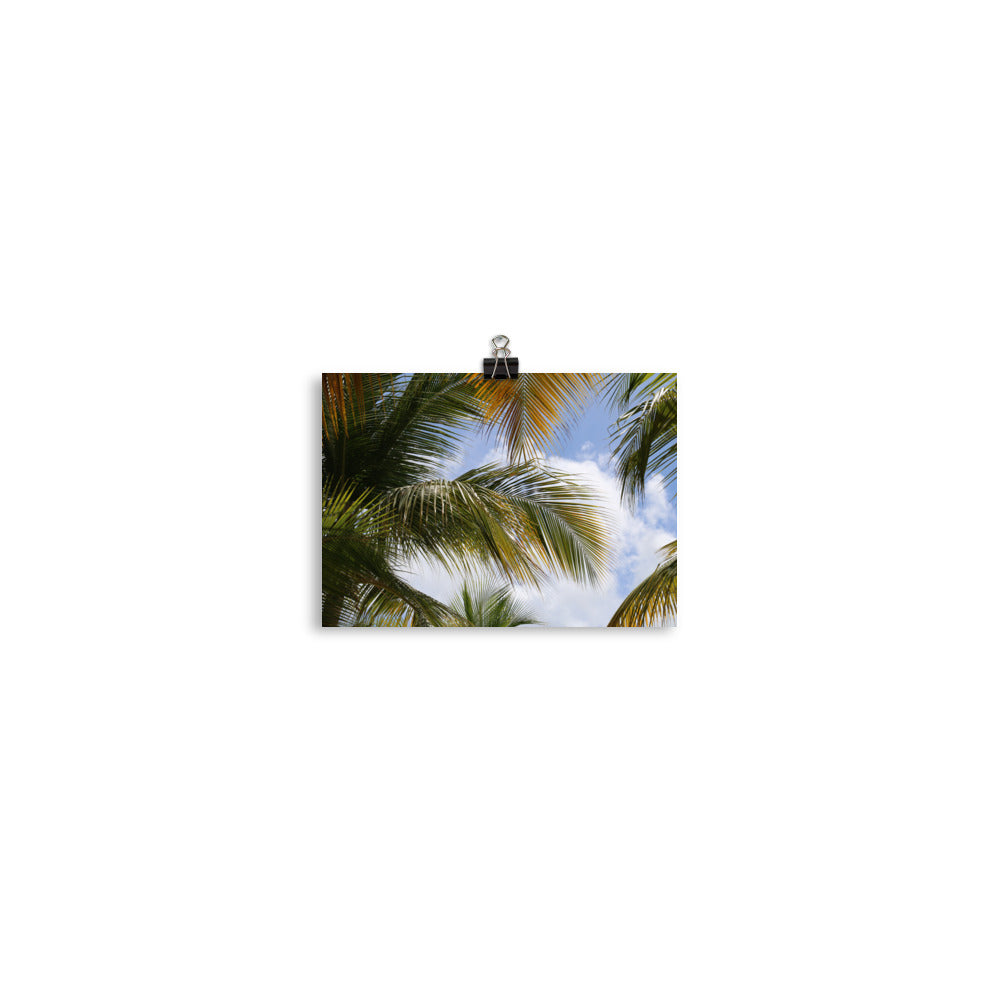 Gallery Prints