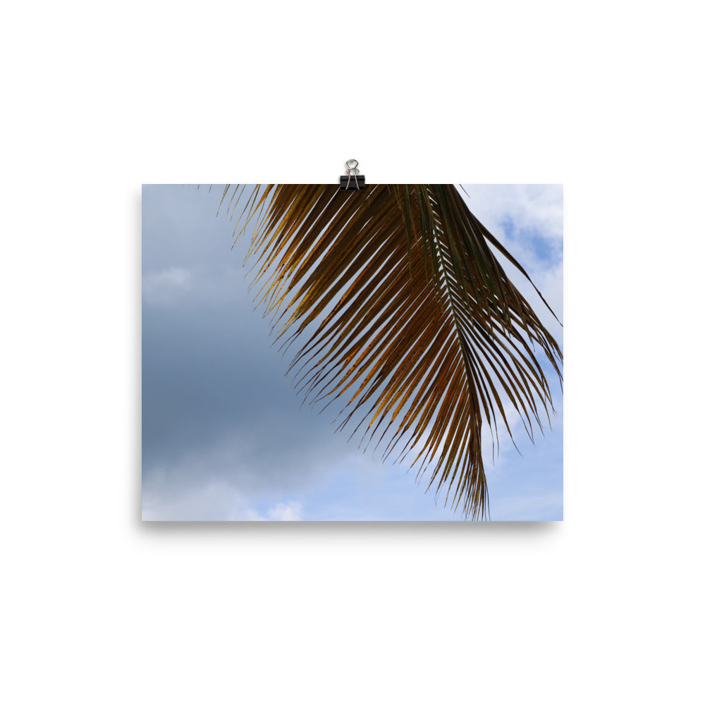 Gallery Prints