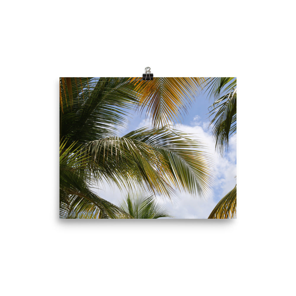 Gallery Prints