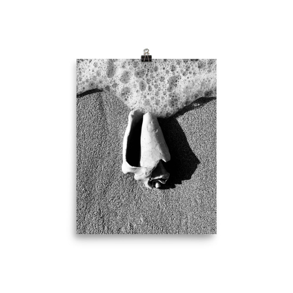 Gallery Prints